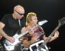 Chickenfoot in Portsmouth Va