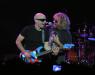 Chickenfoot 